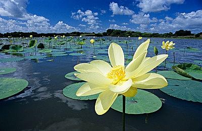 《消逝的光芒2》为中国玩家发布春节祝福视频